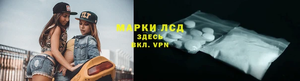 эйфоретик Белокуриха