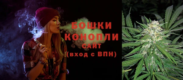 эйфоретик Белокуриха