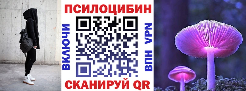 Псилоцибиновые грибы Psilocybe Ростов-на-Дону