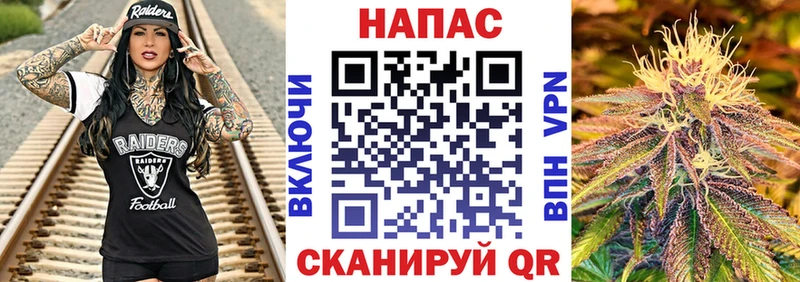 Бошки Шишки SATIVA & INDICA  hydra как войти  площадка формула  Ростов-на-Дону 